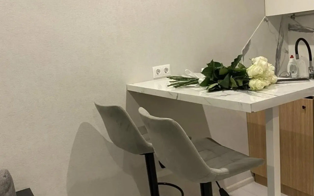 Apartments on 13 Chkalova Street