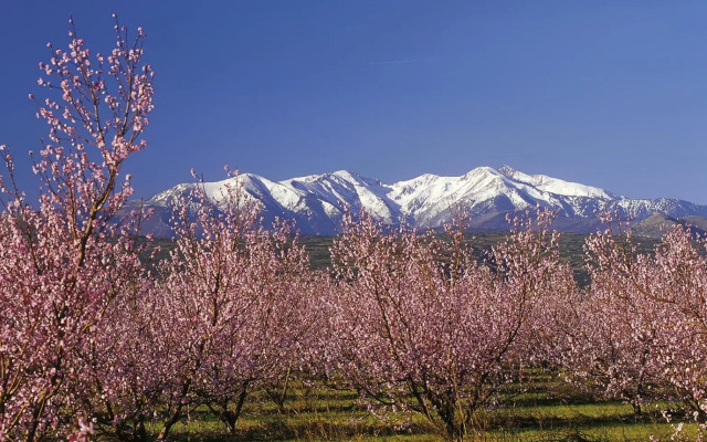 B&B HOTEL PERPIGNAN Sud Saleilles