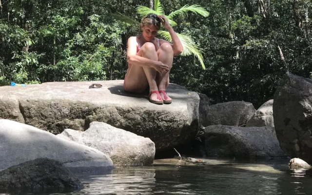 Daintree Crocodylus