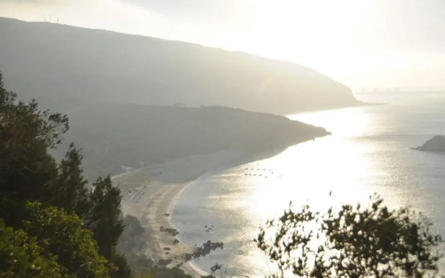 Pine Tree House in Azeit o