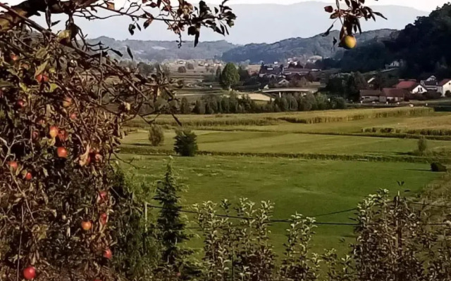 Holiday Home Tuheljske With Mountain View