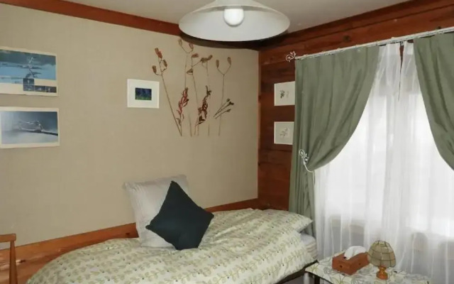 Pension Snowfall Meteor