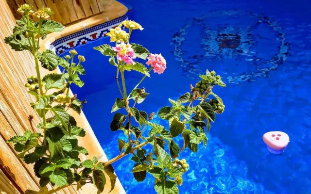Dream Beach B&B