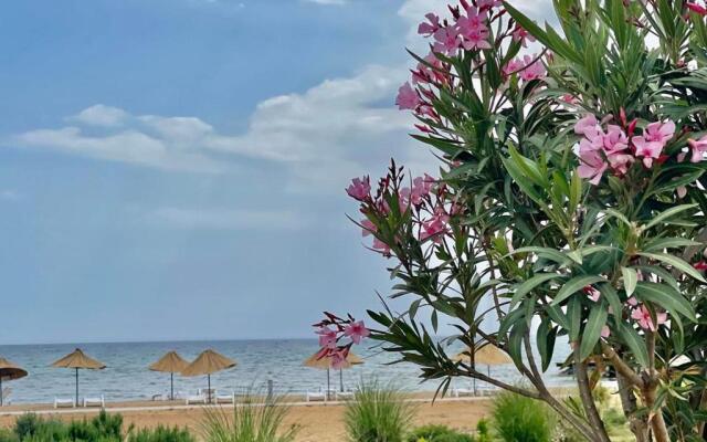 Relaxing Studio by the Sea