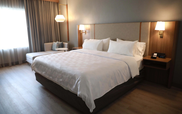 Holiday Inn Durango by IHG