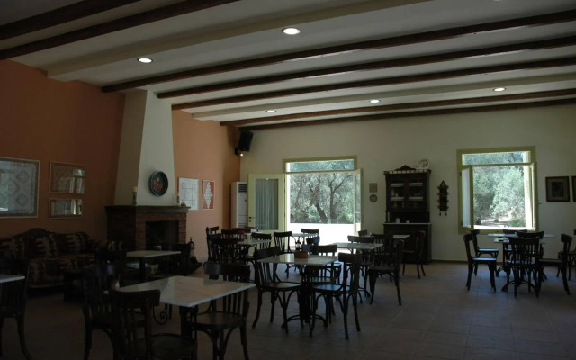 Gera's Olive Grove