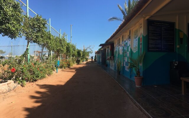 New DaVinci Beach & Diving Resort