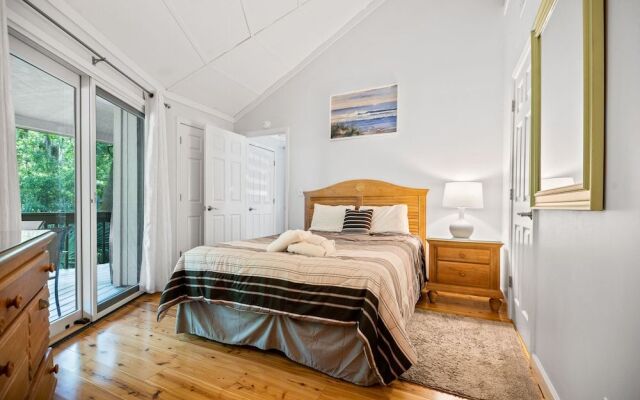 Night Heron Hilton Head Island