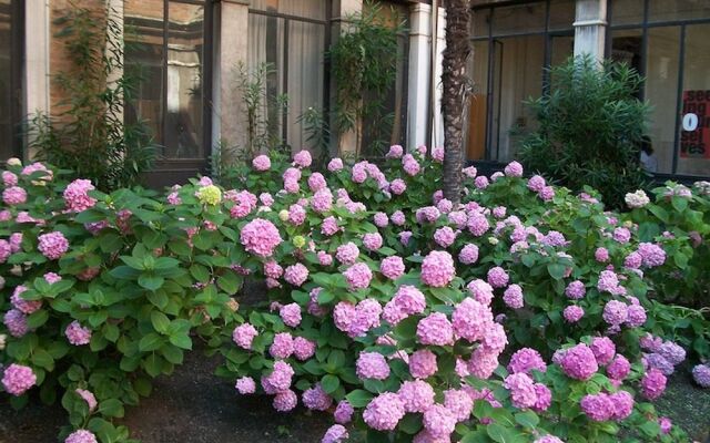 Bed & Venice - Casa per Ferie la Pietà