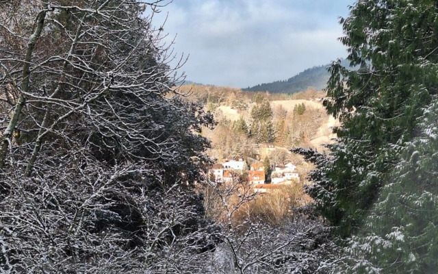 Bed & Breakfast Grünes Gold am Leisberg