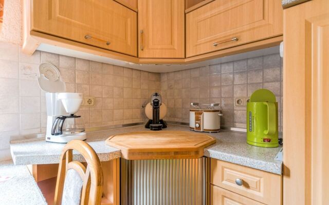 Lovely Apartment in Ilsenburg Harz near Ski Area