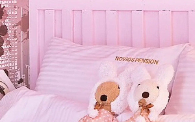Gyeongju Novios Pets Friendly Pension