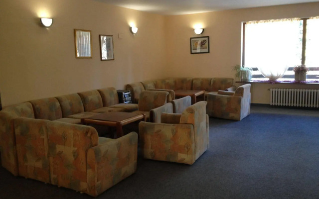 Hotel Bor