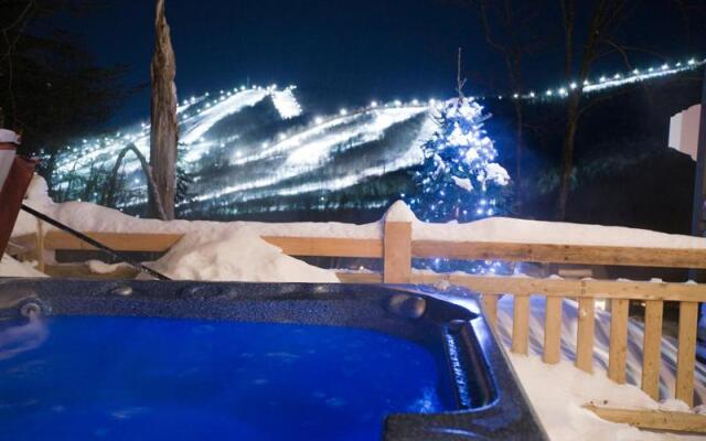 Chalets Alpins - 17 Chemin Blanc