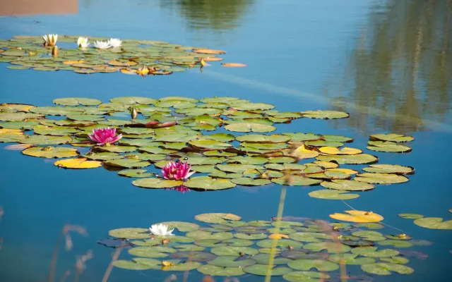 Reserva Alecrim EcoSuite & Glamping