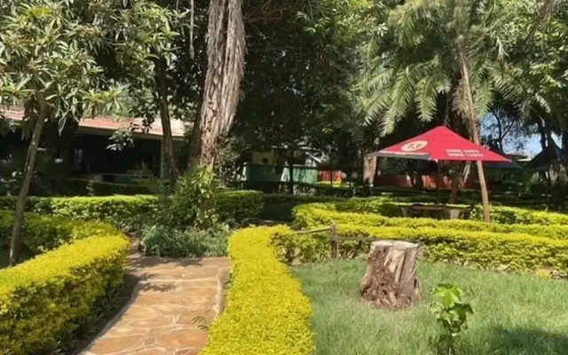 Jungle Green Resort - Kiutine