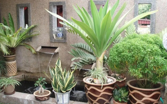 Garden Vacation Suite