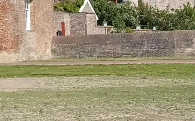 't Hertje