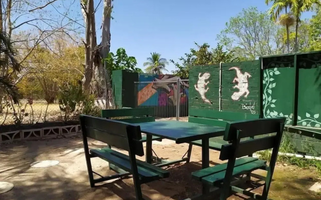 Palm Court Budget Motel Hostel/Backpackers