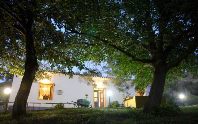 Holiday home in Aggius 30430