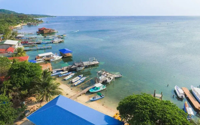 Bella Luna Beach House #226859
