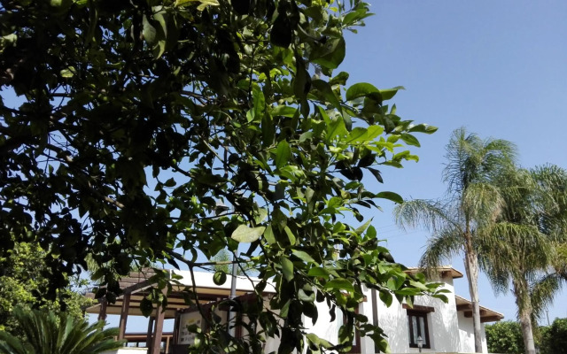 Agriturismo Terra dei Limoni