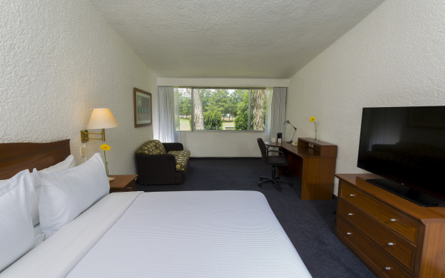 Plaza Juarez [ex. Holiday Inn Ciudad Juarez Lincoln]