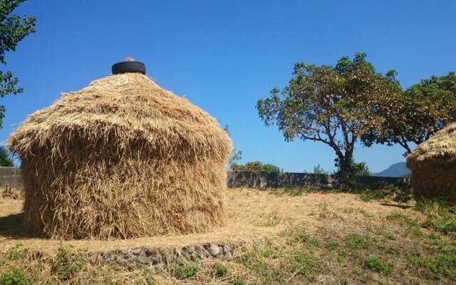 Real Fun Homestay