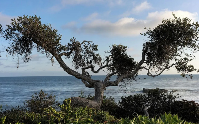 The Inn At Laguna Beach