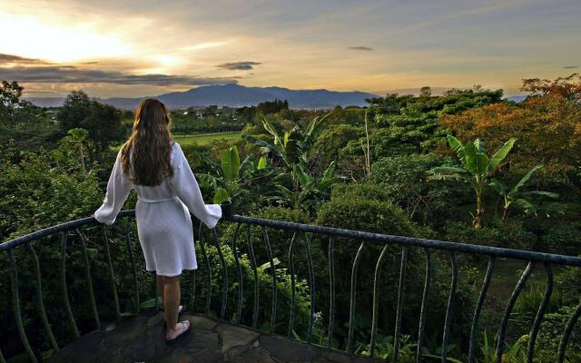 Finca Rosa Blanca Coffee Farm and Inn