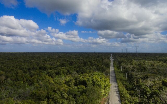 Glamping Mama Loo MM