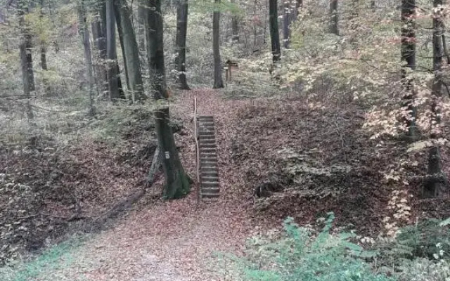 Sweet Apartman Zalakaros