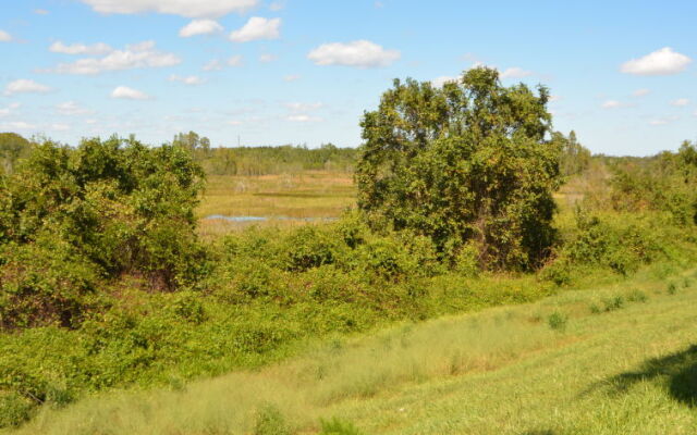 Villa Bay Vista Villa