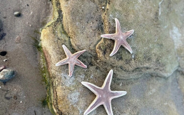 Glen Lyon Lodge Bed & Breakfast