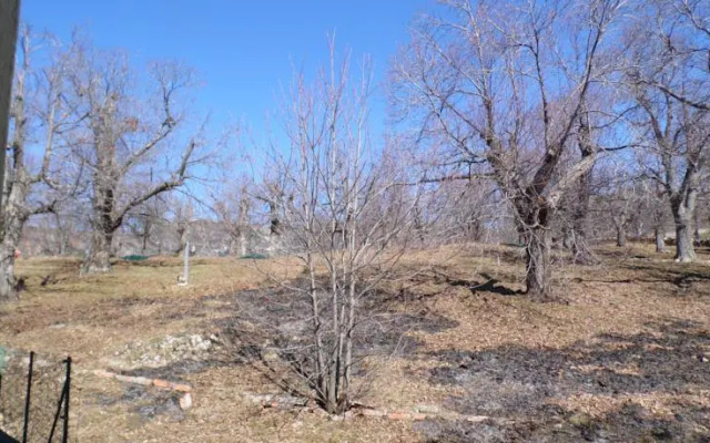 Hotel Restaurant La Chataigneraie