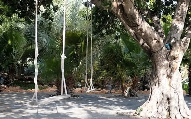 La Almendra y El Gitano