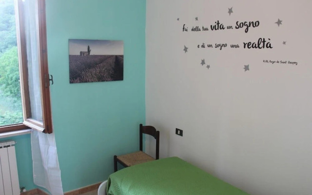 Sul sentiero di Francesco