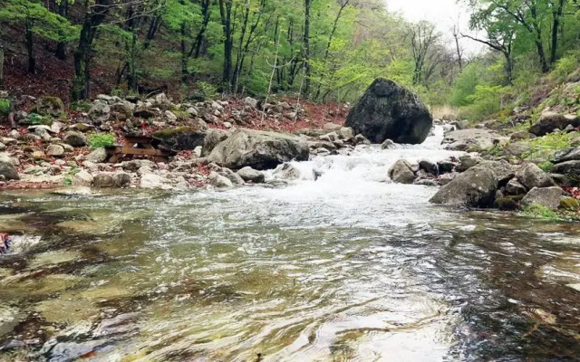 Osaek Jangjang Pension