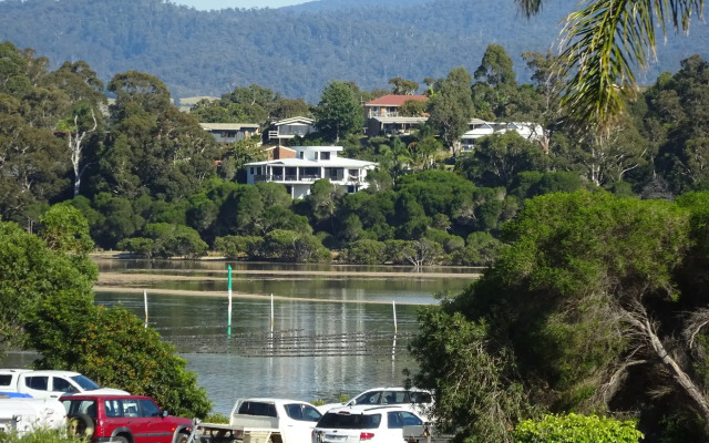 Black Dolphin Motel & Apartments