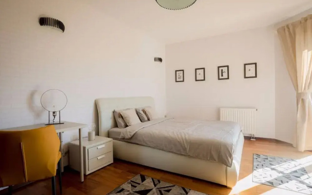 Wild Orchids of Bucharest