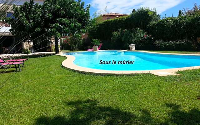 Sous le mûrier