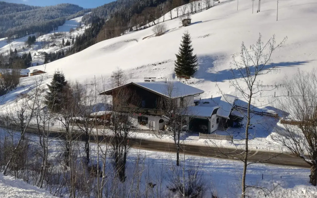 Cosy Apartment in Dienten with mountain view