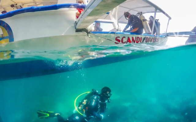 Scandi Divers