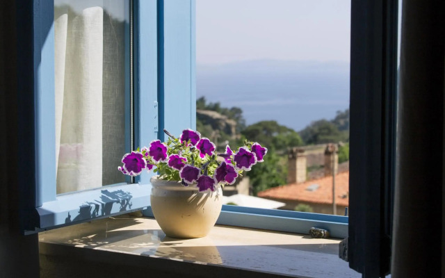 Ida Blue, Adatepe - Adults Only