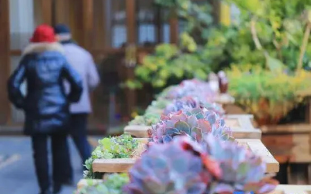 Zhiyun Residence | Lijiang Mufu Royal Garden Resort
