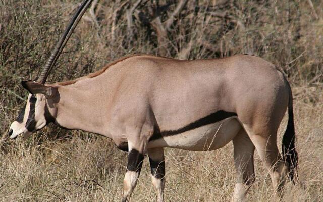 Samburu Sopa Lodge