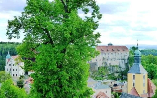 Meister BÄR HOTEL Sächsische Schweiz