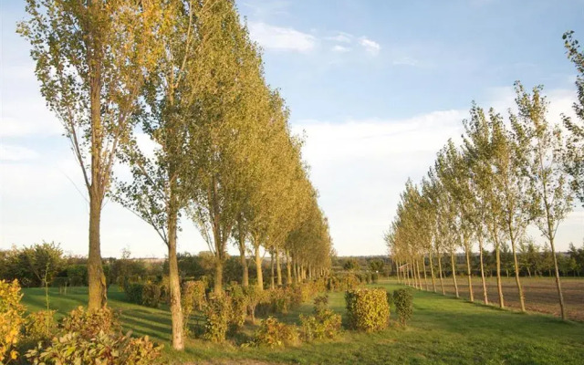 Treetops Cottages & Spa