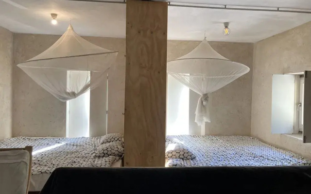 Moleiro da Costa Má