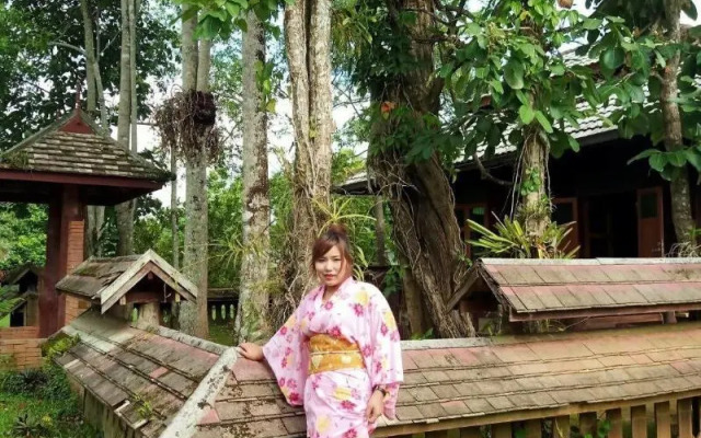 Bamboo Grove Chiang Mai